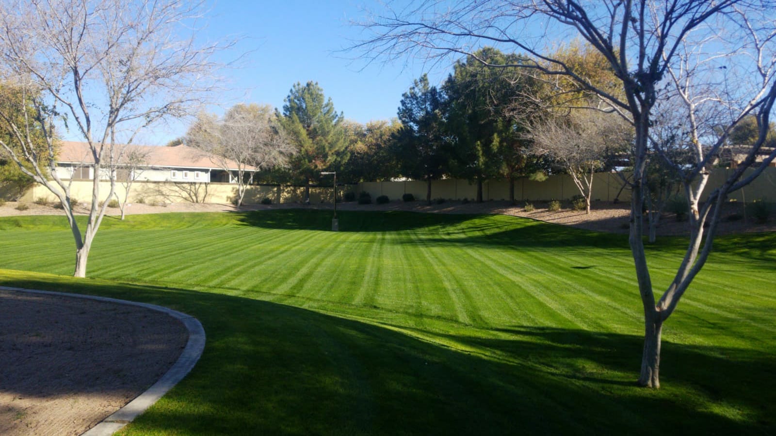 Certified Arborist Logo